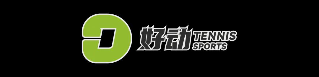 开云注册平台-史上第二高价格 美网冠军奖杯被拍卖 前世界第一破产后 荣耀也成抵债品